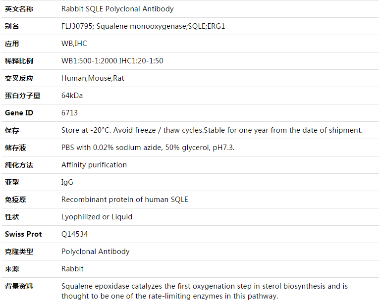 SQLE Antibody,索莱宝,K003349P-100ul