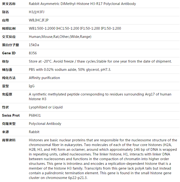 Asymmetric DiMethyl-Histone H3-R17 Antibody,索莱宝,K003348P-50ul