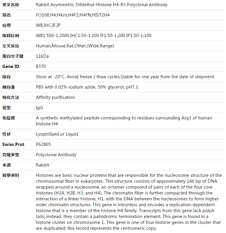 Asymmetric DiMethyl-Histone H4-R3 Antibody,索莱宝,K003347P-100ul