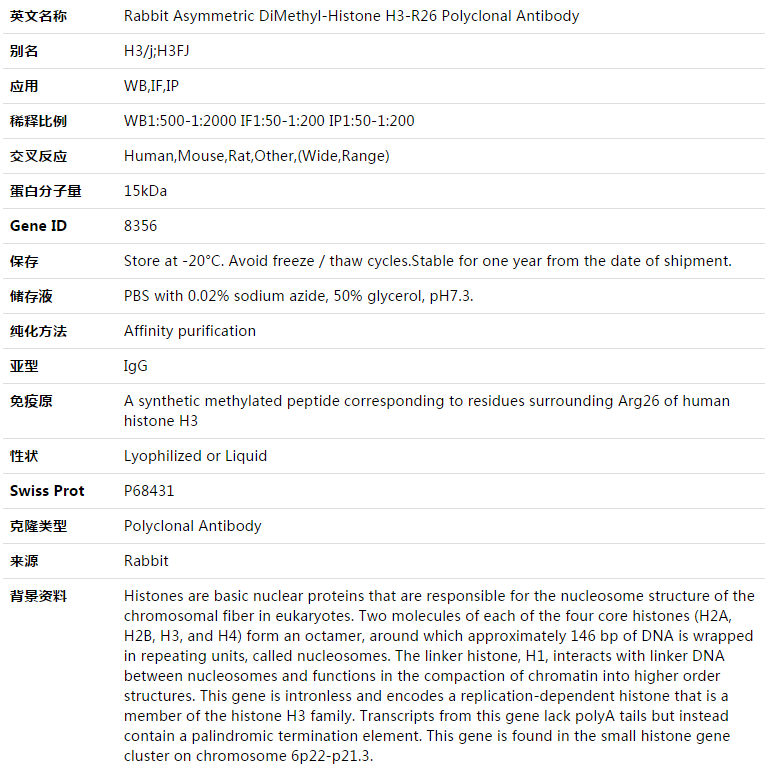 Asymmetric DiMethyl-Histone H3-R26 Antibody,索莱宝,K003346P-100ul