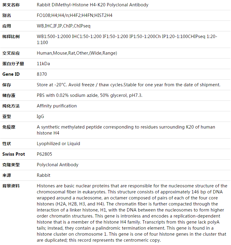 DiMethyl-Histone H4-K20 Antibody,索莱宝,K003342P-50ul