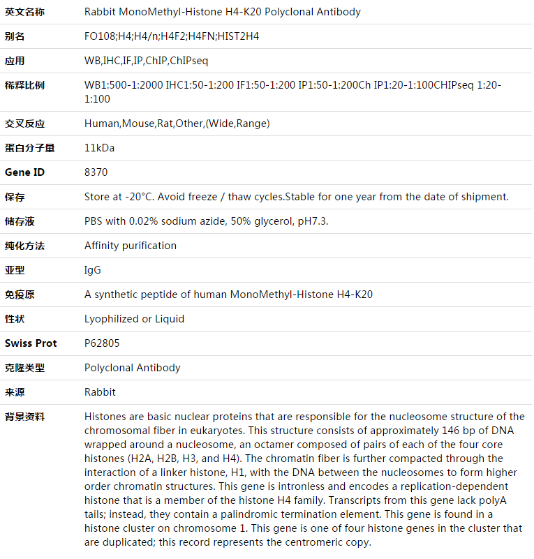 MonoMethyl-Histone H4-K20 Antibody,索莱宝,K003341P-50ul