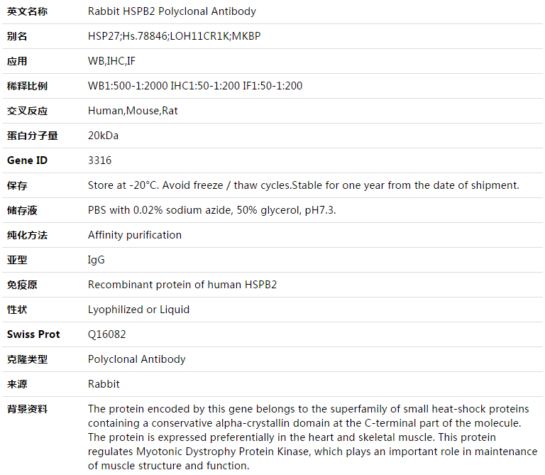 HSPB2 Antibody,索莱宝,K003325P-100ul