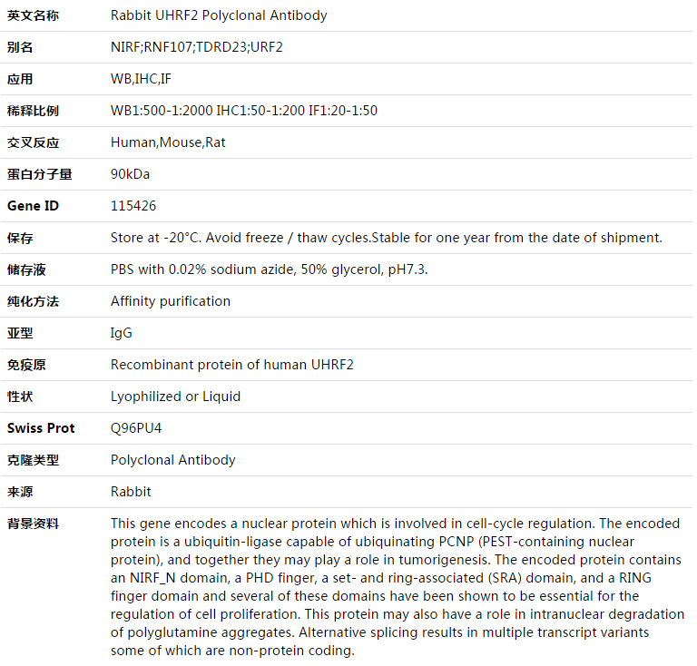 UHRF2 Antibody,索莱宝,K003322P-100ul