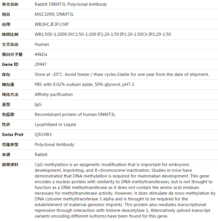 DNMT3L Antibody,索莱宝,K003320P-100ul