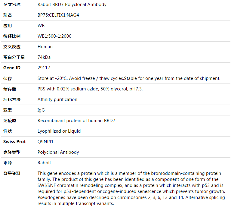 BRD7 Antibody,索莱宝,K003315P-100ul