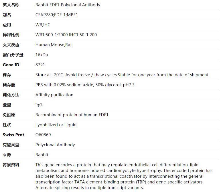 EDF1 Antibody,索莱宝,K003314P-100ul