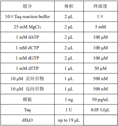 Sulfo-Cy3-E-dUTP       货号： BN10048