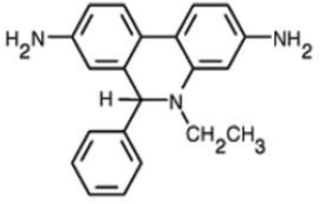 Dihydroethidium (Hydroethidine)       货号： BN11004