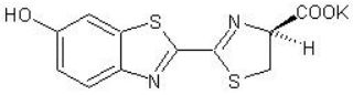 D-Luciferin, Potassium Salt（D-荧光素钾盐）       货号： BN11009