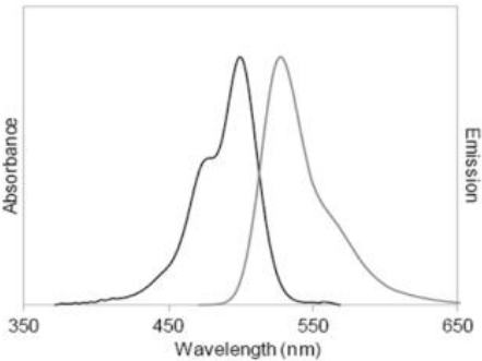 WonderBlue® High Sensitivity dsDNA Quantitation Kit       货号： BN12011