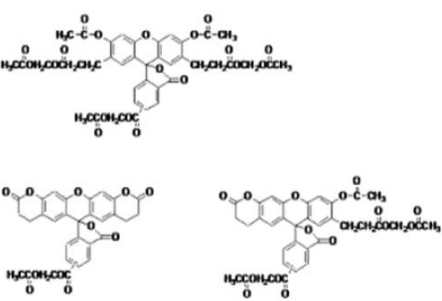BCECF, AM ester（pH荧光探针）       货号： BN13006