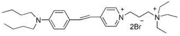 NerveGreenTM C4 (FM1-43)神经元荧光探针       货号： BN14014