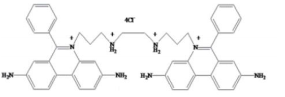 Ethidium Homodimer-I (EthD-I)       货号： BN14052