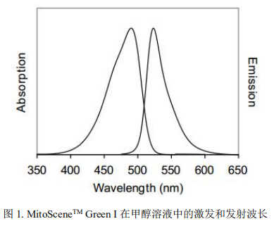 MitoSceneTM Green I       货号： BN14063