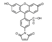 Fluorescein-5-maleimide       货号： BN15004