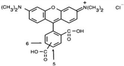 5(6)-TAMRA, 混合物       货号： BN15007