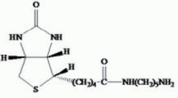 Biotin cadaverine, trifluoroacetate salt       货号： BN15034