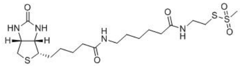 MTSEA Biotin-X       货号： BN15036