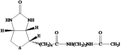 Biotin ethylenediamine iodoacetamide       货号： BN15044
