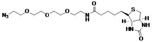 Biotin Azide       货号： BN15062